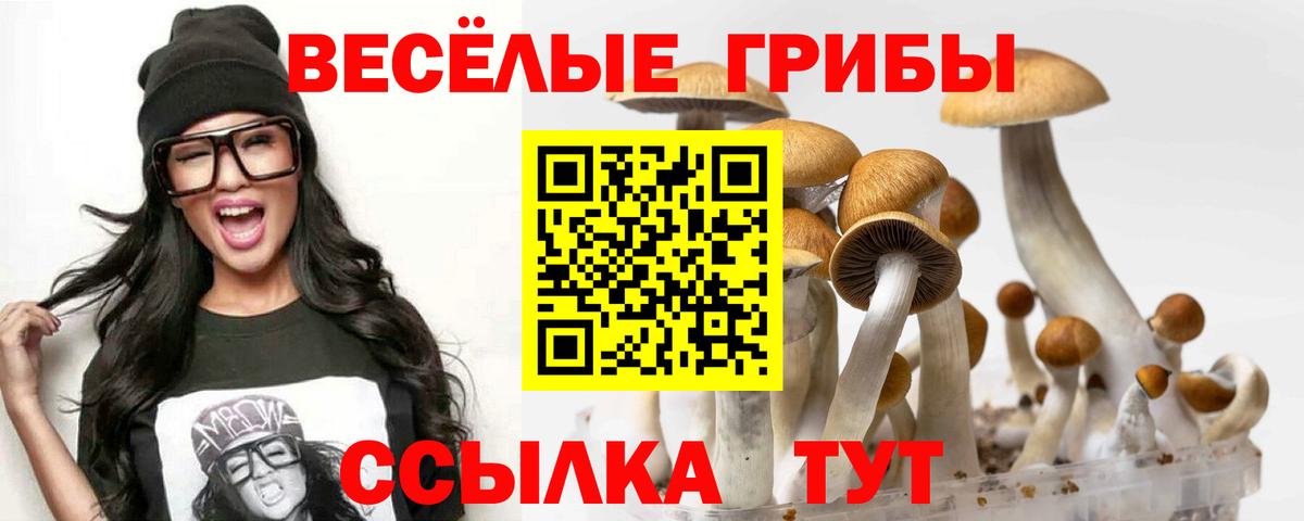 Кольчугино  Галлюциногенные грибы Psilocybe  Псилоцибиновые грибы Cubensis  Вход с VPN 